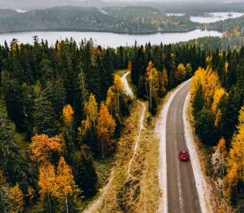 punainen auto ajamassa syksyisellä autotiellä